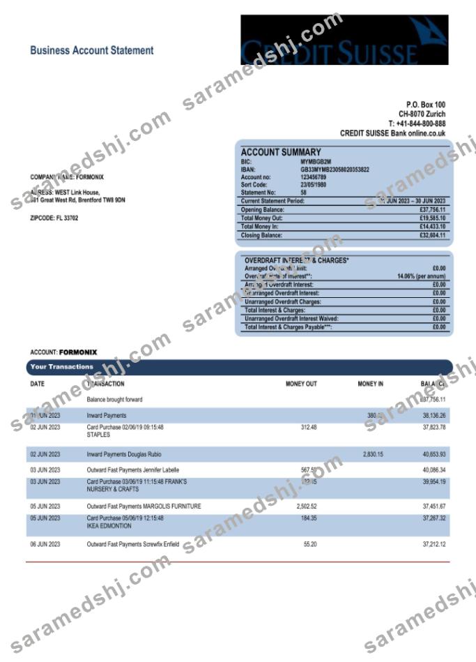 Credit Suisse Bank corporate account statement Word and PDF template
